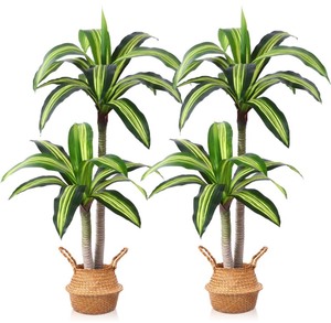 2-Pack 5 Artificial Dracaena Tree