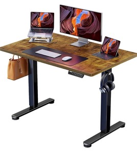 ERGEAR Standing Desk with Storage Pocket -Natural Wood