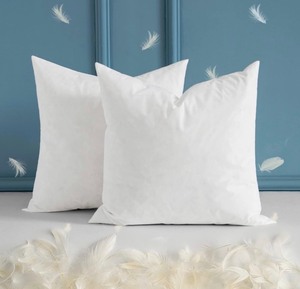 2 22x22 Down & Feather Cotton Pillows