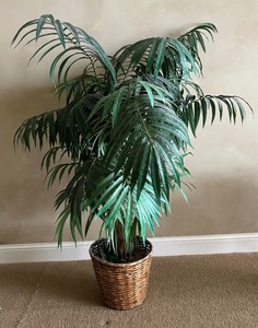 lot 38 image: Fabulous Faux Greenery
