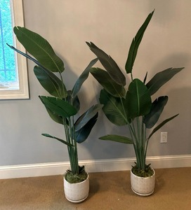 lot 52 image: Fantastic Faux Greenery