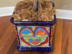 lot 24 image: Large Faux Tropical Plant with Colorful Mexican Planter