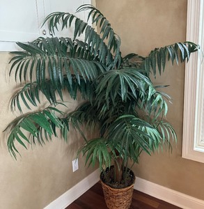 lot 66 image: Faux Tropical Plant