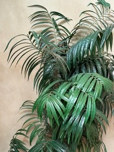 lot 59 image: Faux Palm Plant