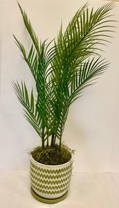 lot 133 image: Beautiful Potted Faux Palm Plant