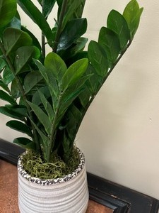 lot 103 image: Pair of Beautiful Faux Decorative Plants