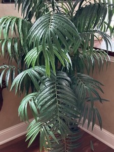 lot 121 image: Large Faux Plant