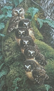 lot 175 image: Family Tree Owls Limited Edition Print by Carl Brenders