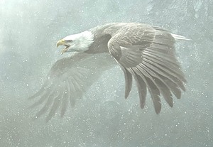 lot 27C image: Vigilance Limited Edition Signed Print by Robert Bateman