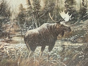 lot 215 image: Deep Woods Moose Signed Limited Edition Print by James Killen