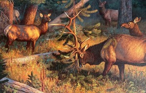 lot 226 image: Deer Themed Wall Hanging Print