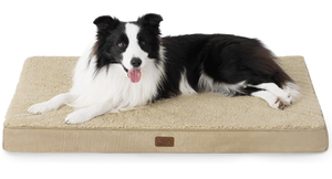 lot 193 image: Bedsure Large Dog Bed for Large Dogs - Big Orthopedic Waterproof Dog Beds with Removable Washable Cover