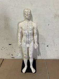 lot 527 image: Human Acupuncture Model