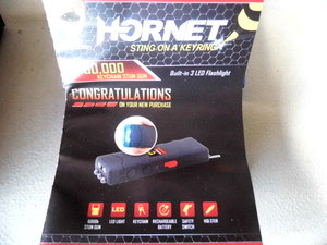 Hornet Stun Gun Key Chain