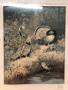lot 345 image: Framed Signed LYNN BOGUE HUNT Ruffled Grouse Hunting Print