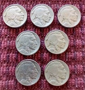 (7) Buffalo Nickels - All Dates Visible