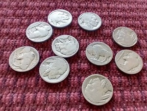 (10) Buffalo Nickels
