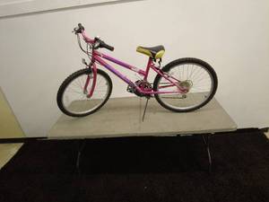 lot 54 image: Pacific Wanderer 24-Inch Girls Mountain Bike