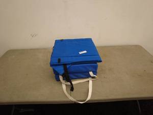 lot 135 image: Set of 2 Blue Cushions wCarry Cases