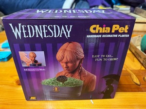 New in Box Wednesday Chia Pet