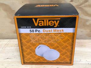 lot 193 image: Valley 50 piece box of dust masks