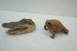 lot 52 image: Decor Alligator Skull and Frog Coin Purse