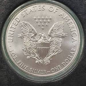 2009 American Silver Eagle in Flip Case