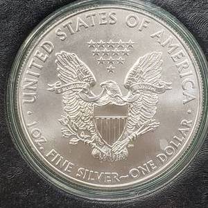 2009 American Silver Eagle in Flip Case