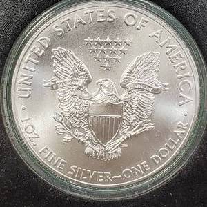 2014 American Silver Eagle in Flip Case