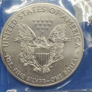 2014 American Silver Eagle