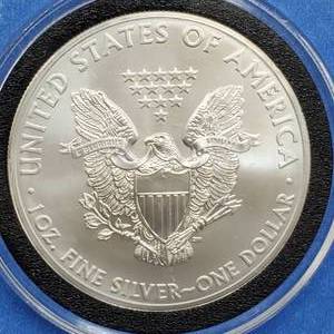 2013 American Silver Eagle in Airtite