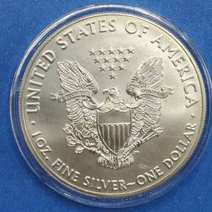 2019 American Silver Eagle in Airtite