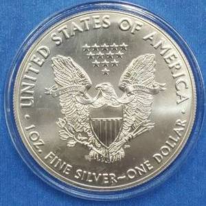 2020 American Silver Eagle in Airtite