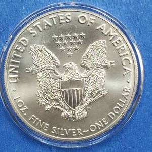 2021 American Silver Eagle in Airtite
