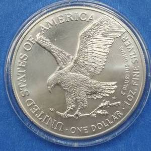 2022 American Silver Eagle in Airtite