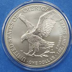 2023 American Silver Eagle in Airtite