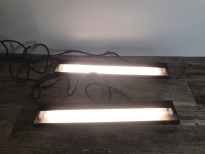 lot 261 image: 2 - Wall  Ceiling Light Fixtures