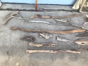 lot 399 image: Pieces of Drift Wood - Diamond Willow Walking Stick and a Catch & Release Fish Net for Carrying Drift Wood