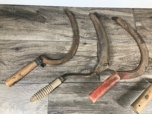lot 450 image: 5 - Vintage Hand Sickles