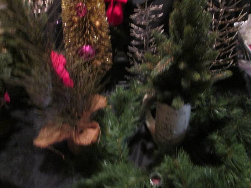 Collaboration of Colorful and creative Tree decor