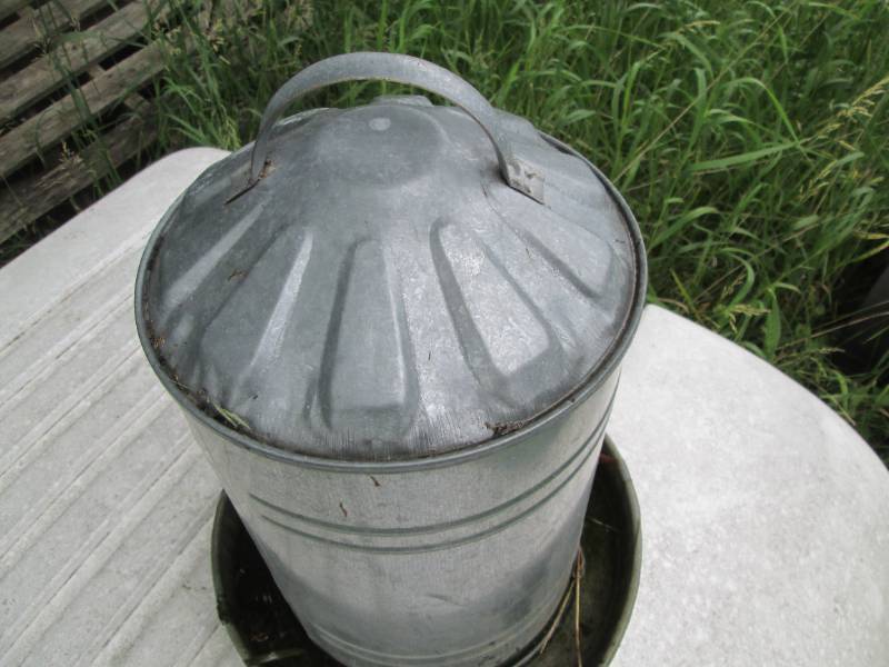 Metal Chicken feeder...