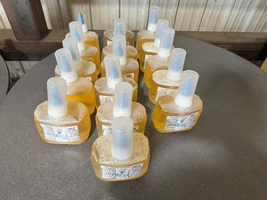lot 54 image: New 33.8 Oz Bottles Alert Sanitizing Foam Soap (Qty 16)