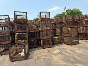 lot 102 image: 10 Metal Cages 48 x 40 x 3 Tall. First Come On Removal Date get First Choice from cages shown.
