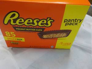 85 ct Reeses Snack Size Peanut Butter Cups