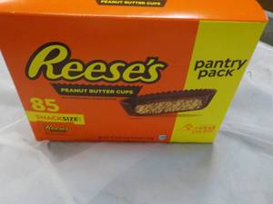 85 ct Reeses Snack Size Peanut Butter Cups