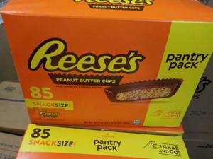 85 ct Reeses Snack Size Peanut Butter Cups