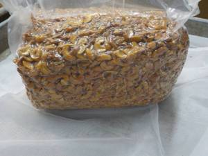 12 12 lb. Bag Honey Roasted Cashews Halves and Pieces