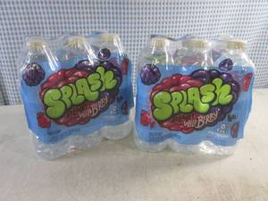 lot 221 image: (C-2) 2 - 6-Packs Splash Blast Wild Berry Water 16.9oz Bottles