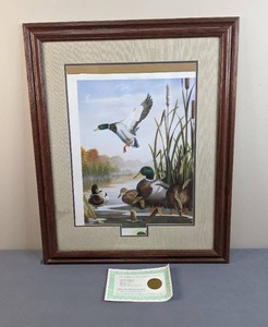 lot 71 image: Framed Conservation Edition Fine Art Print of Ducks by Leo Stans with Certificate of Authenticity