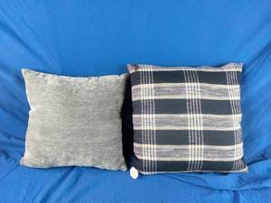 lot 187 image: New (2) Throw Pillows One 18x18 and One 20x20